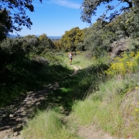 I Trail del Jamon