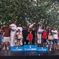 II Carrera Autos Locos Güéjar Sierra